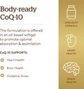 solgar-megasorb-coq-10-60-mg-120-softgel-4.jpg