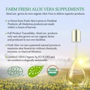 aloecure-natural-melatonin-collagen-with-6.jpg
