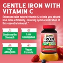 10-in-1-magnesium-complex-iron-supplemen-3.jpg