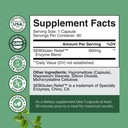 fast-acting-gluten-digestive-enzymes-for-2.jpg