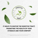 secrets-of-the-tribe-spearmint-capsules--5.jpg