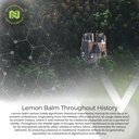 nootropics-depot-lemon-balm-extract-tabl-5.jpg