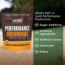 laird-superfood-organic-performance-mush-5.jpg