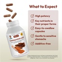 andrew-lessman-cinnamon-400mg-30-capsule-4.jpg