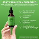 wellpath-chlorophyll-liquid-drops-with-c-2.jpg