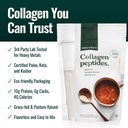 natural-force-clean-grass-fed-collagen-p-2.jpg