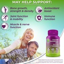 supplements-studio-daily-immune-bone-ene-5.jpg
