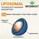 besibest-1000mg-liposomal-coq10-ubiquino-5.jpg