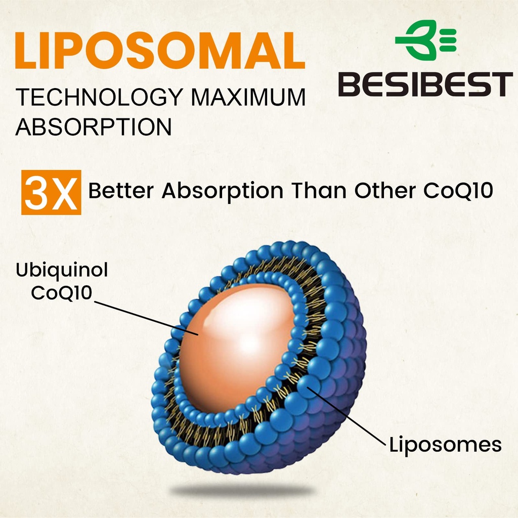 besibest-1000mg-liposomal-coq10-ubiquino-5.jpg