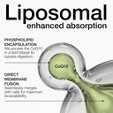 liposomal-coq10-400mg-98-pure-coenzyme-q-2.jpg