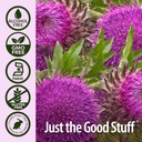 nature-s-answer-milk-thistle-2-ounce-ext-4.jpg