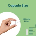 bestvite-filler-free-niacinamide-500mg-2-4.jpg