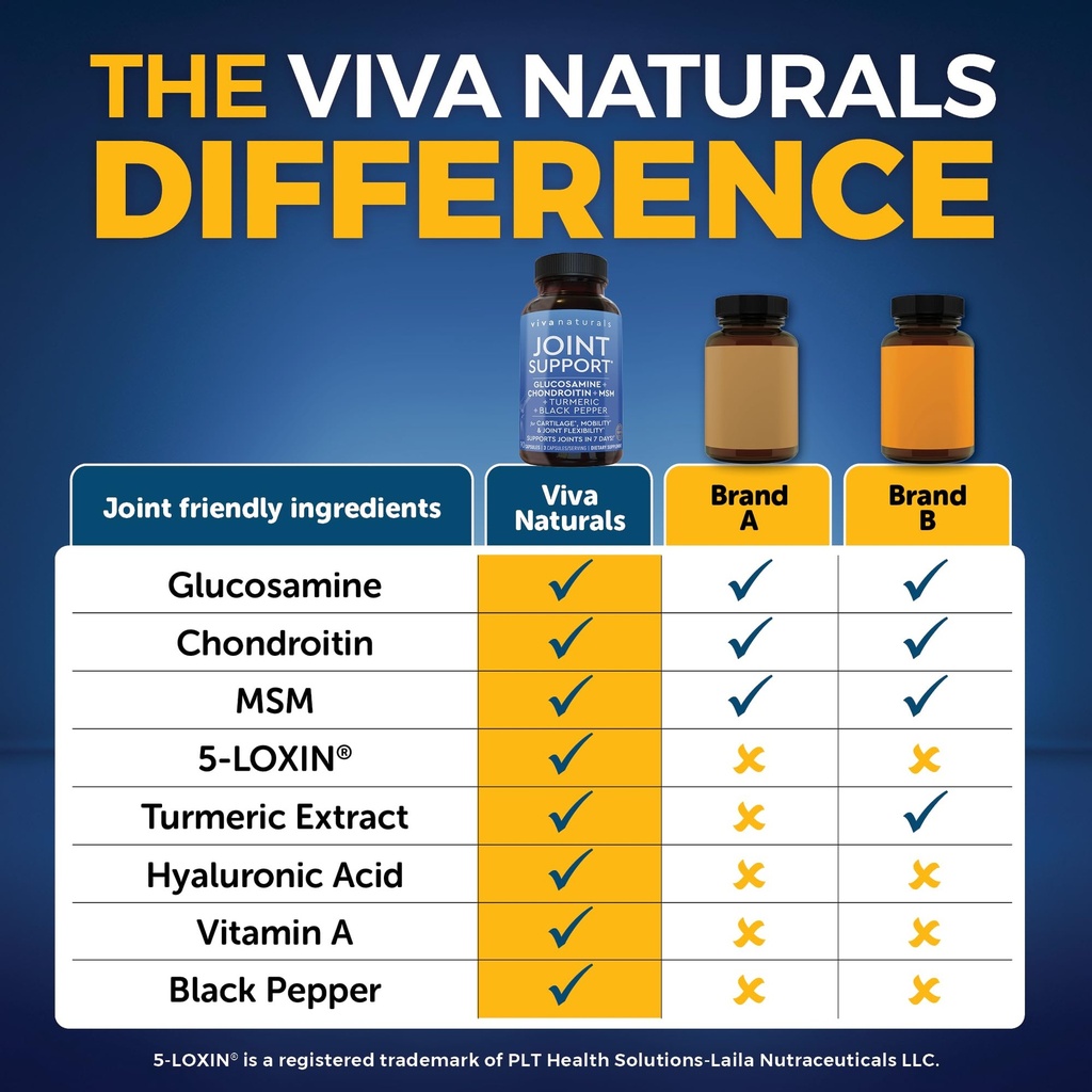 viva-naturals-glucosamine-chondroitin-ms-4.jpg