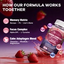 migcopat-brain-supplements-for-memory-fo-4.jpg