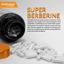 wellness-labsrx-berberine-15-000mg-third-6.jpg
