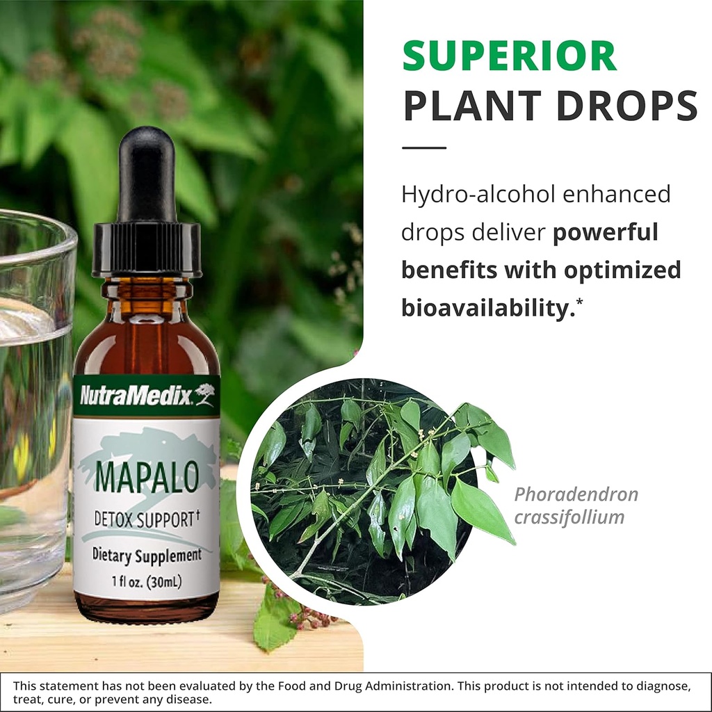 nutramedix-mapalo-herbal-extract---cogni-5.jpg