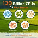 innate-vitality-probiotics-120-billion-c-3.jpg