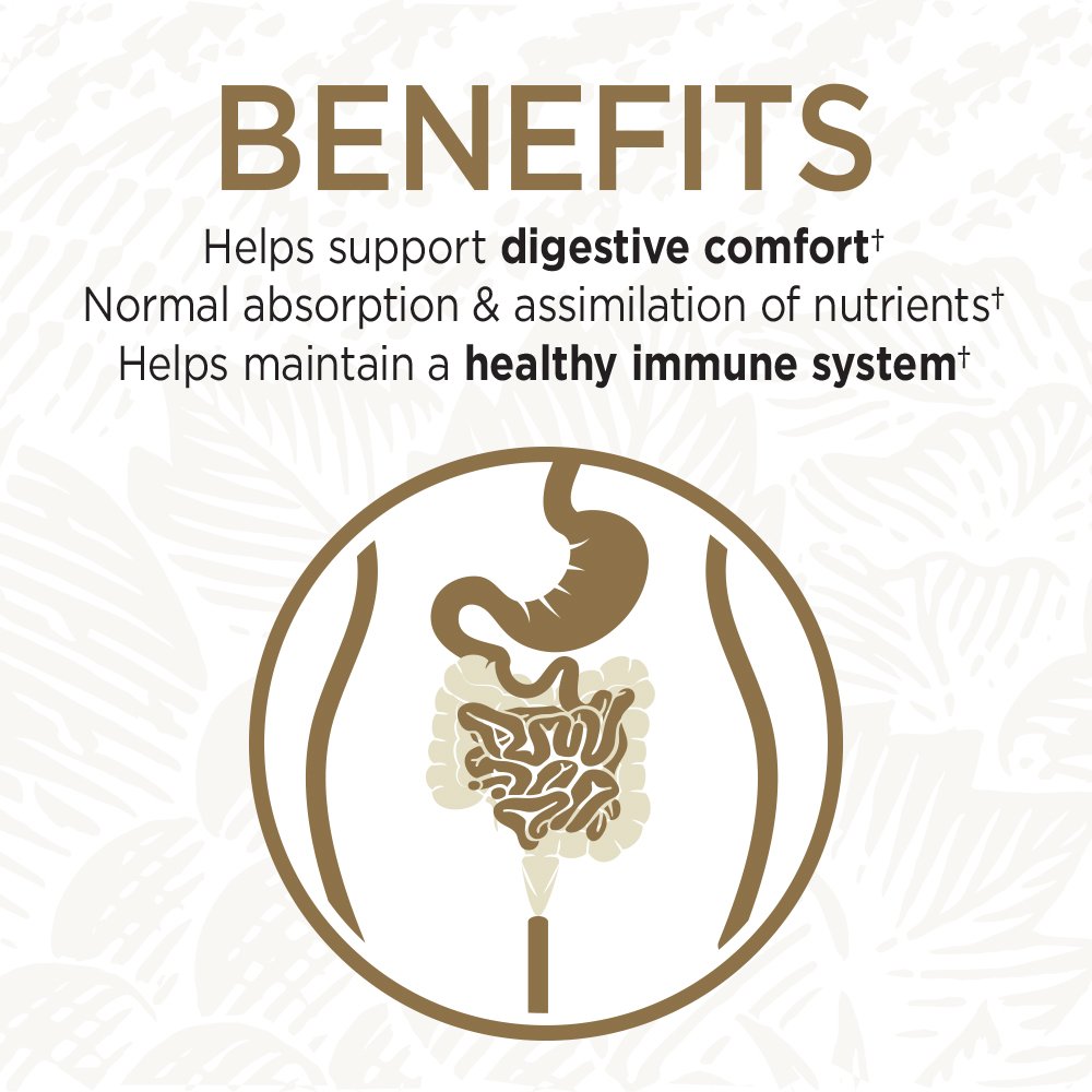 garden-of-life-probiotics-for-digestive--5.jpg
