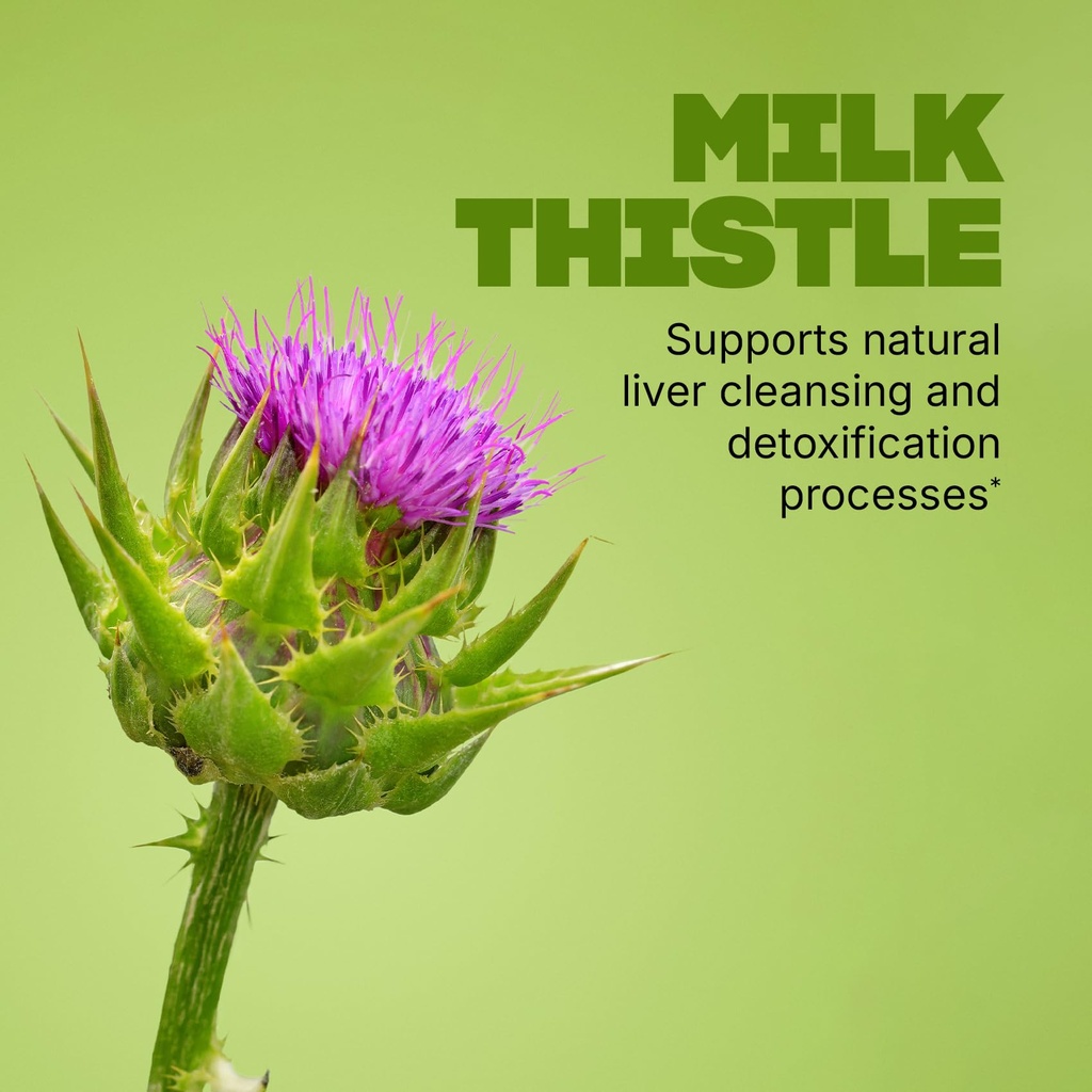 swisse-milk-thistle-supplement-liver-cle-3.jpg