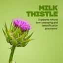 swisse-milk-thistle-supplement-liver-cle-3.jpg
