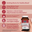garden-of-life-vitamin-code-healthy-bloo-3.jpg