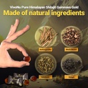 pure-himalayan-shilajit-gummies-micronut-3.jpg