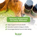 b-leaf-nature-moringa-capsules-organic-1-4.jpg