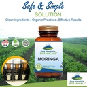 pure-mountain-botanicals-moringa-leaf-ca-3.jpg