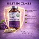 purity-labs-trans-resveratrol-supplement-6.jpg