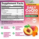 coq10-gummies-for-adults-coenzyme-q10-10-2.jpg