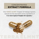 200x-strength-tongkat-ali-for-men-w-fado-3.jpg
