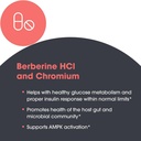 metabolic-maintenance-berberine-chromium-4.jpg
