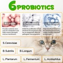 cat-constipation-relief-cat-laxative-con-4.jpg