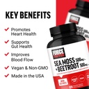 force-factor-irish-sea-moss-beet-root-su-2.jpg
