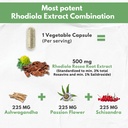 rhodiola-rosea-supplement-high-potency-e-4.jpg