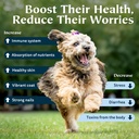 zeolite-powder-100-natural-food-suppleme-3.jpg