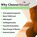 99-ultra-purity-nmn-500mg-trans-resverat-3.jpg