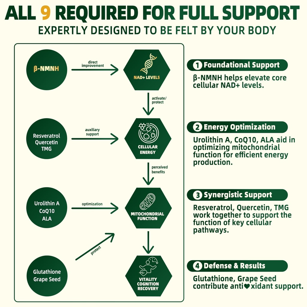 nmnh-supplement-2000mg-liposomal-nicotin-4.jpg