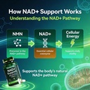 nad-supplement-with-nmn-trans-resveratro-4.jpg