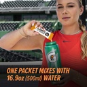 gatorlyte-powder-watermelon-16-9oz-pack--3.jpg