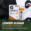 gatorlyte-powder-watermelon-16-9oz-pack--4.jpg