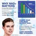 nad-supplement-nad-nicotinamide-riboside-3.jpg