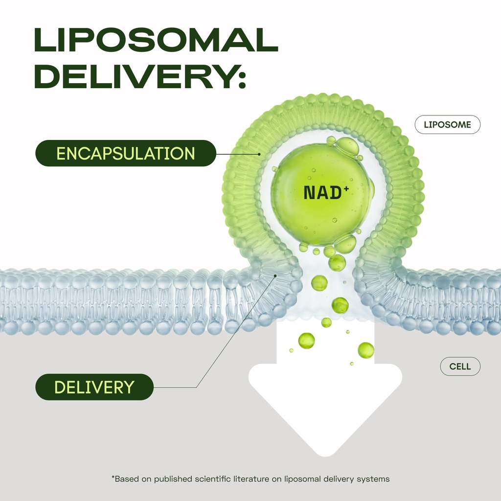 cata-kor-liposomal-nad-supplement-with-r-4.jpg