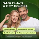 cata-kor-liposomal-nad-supplement-with-r-3.jpg