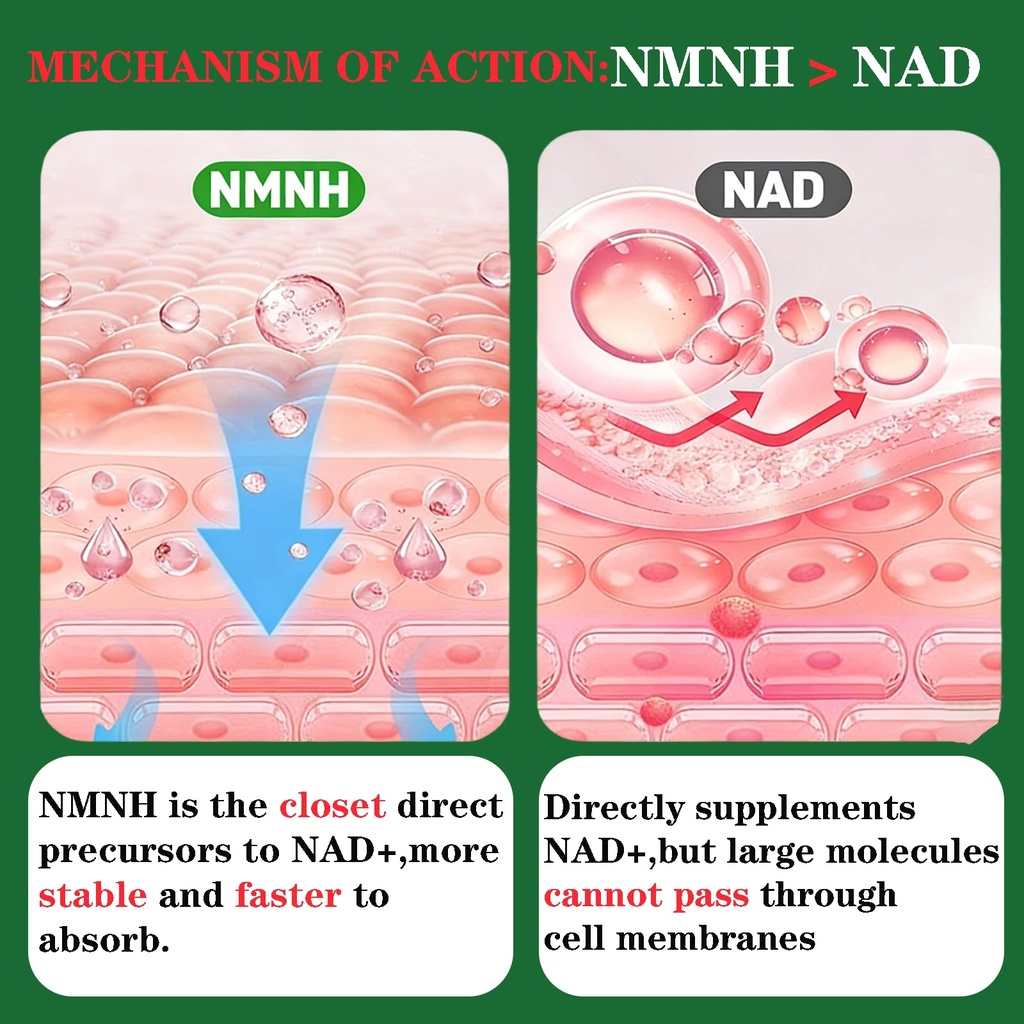 nmnh-supplement-1000mg-liposomal-pure-ni-2.jpg