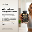 gflow-vitamins-nad-supplement-nicotinami-3.jpg