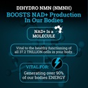 nmnh-supplement-250mg-pure-dihydro-nicot-5.jpg