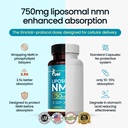 fuel-liposomal-nmn-750mg-per-serving-500-2.jpg