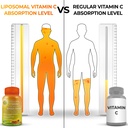 liposomal-vitamin-c-capsules-1500mg-made-3.jpg