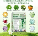 moringa-patchs-patches-patches-4box-28pc-6.jpg
